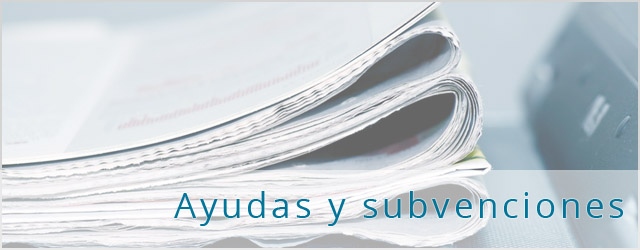 Noticias subvenciones